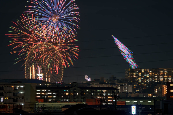 万博花火-2511223