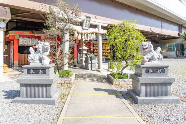 萱島のクスノキ(小)2103248