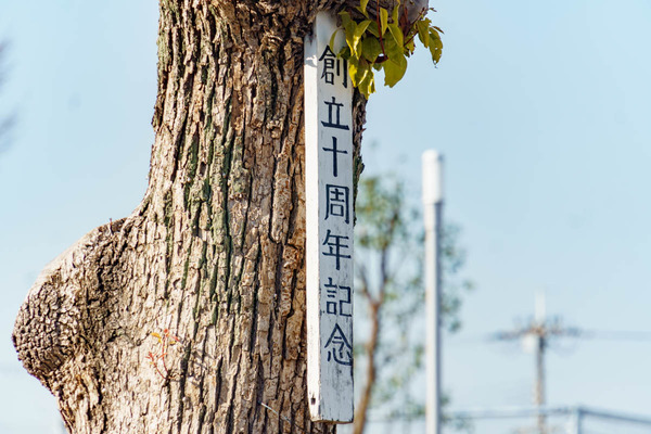 0303よつば未来公園-14