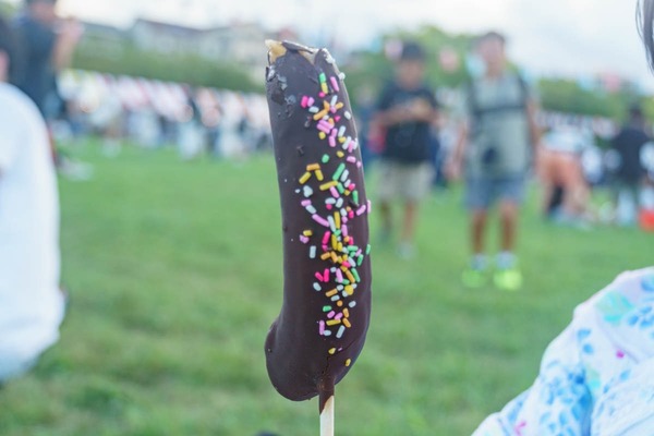 959d8f298ab73ac8d85908a0d870e27a