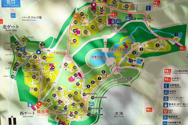 IMG_20251204_120655012