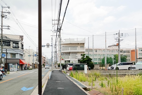 IMG_20250708_133542192