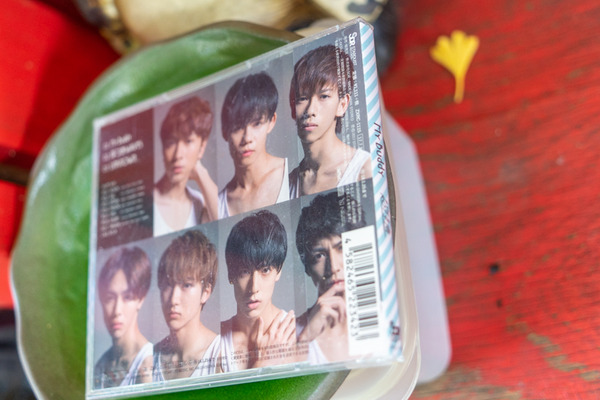 イチョウ-2111307