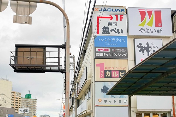 IMG_20251118_122447422_HDR