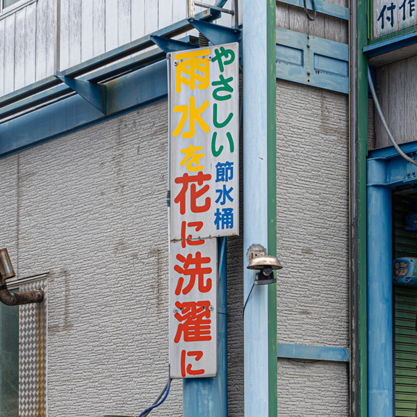 たまちゃん-2105254