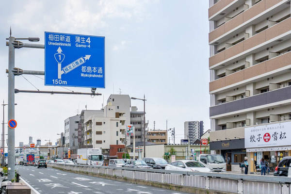 雪松(小)2106241-4