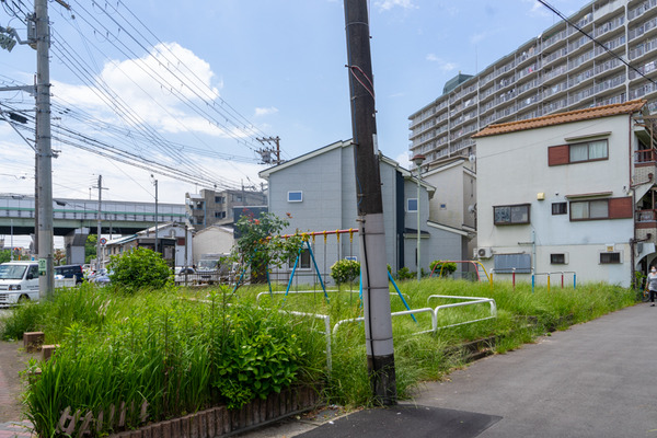 草ボーボー-2105256