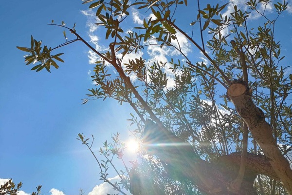 IMG_20251204_121334582_HDR