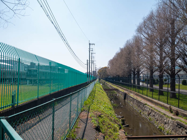 大日検車場 2021年3月-2