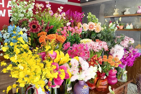 IMG_20251008_114757636