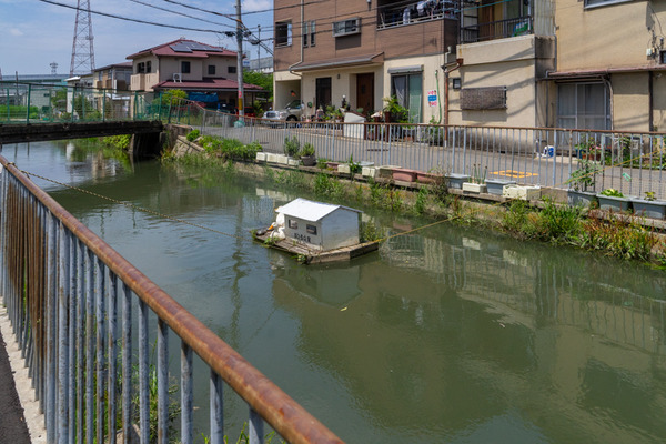 あひるの家-2105251