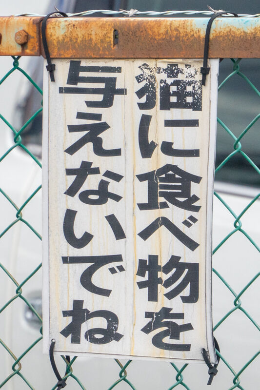 フォト優しい-2110263