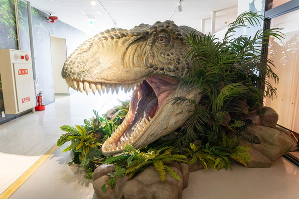 海洋堂ホビーランド（大）21062568