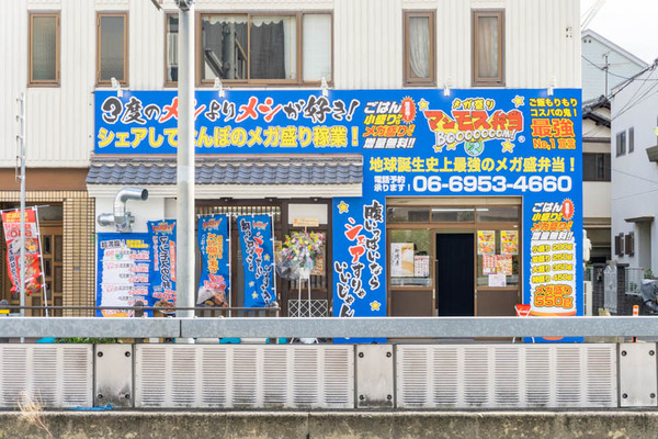 メガ盛り(小)2111103