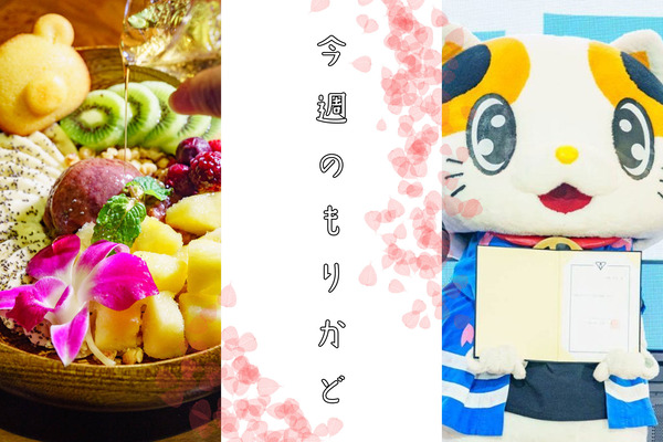 今週のもりかど1108
