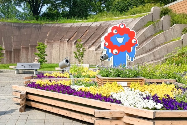 IMG_20250705_092644759_HDR