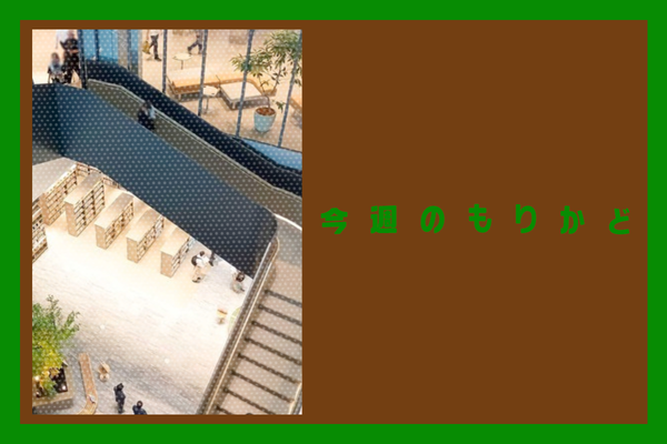 今週のもりかど (2)