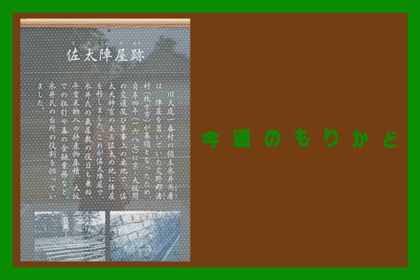 コスパ最強イタリアンチェーン店が古川橋にできたり、ららぽで複数店舗オープンしたり【今週のもりかど】