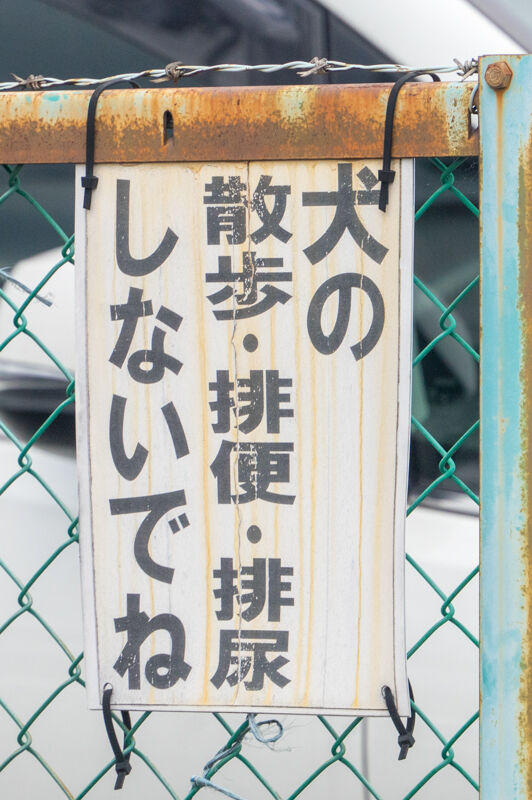 フォト優しい-2110262