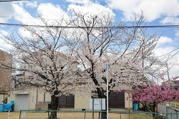 IMG_20250403_112051960_HDR