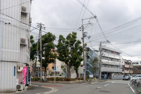 めだか-2212221