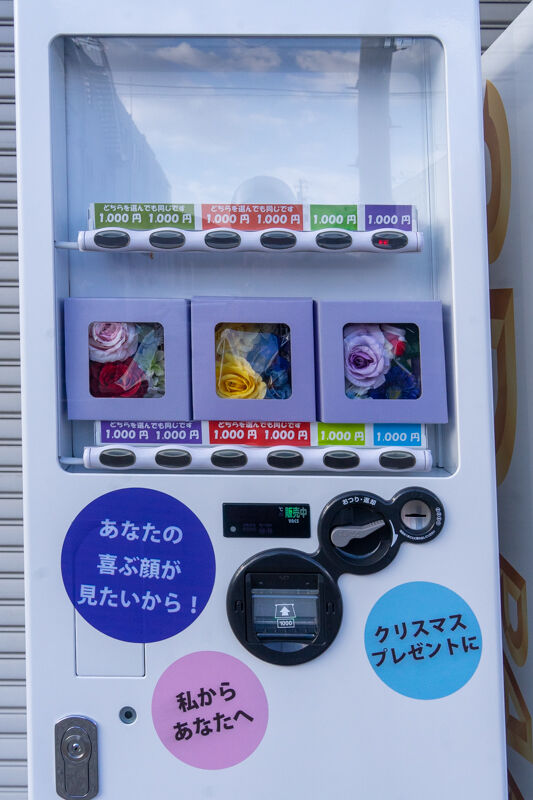 ペーパーパズル-2201077