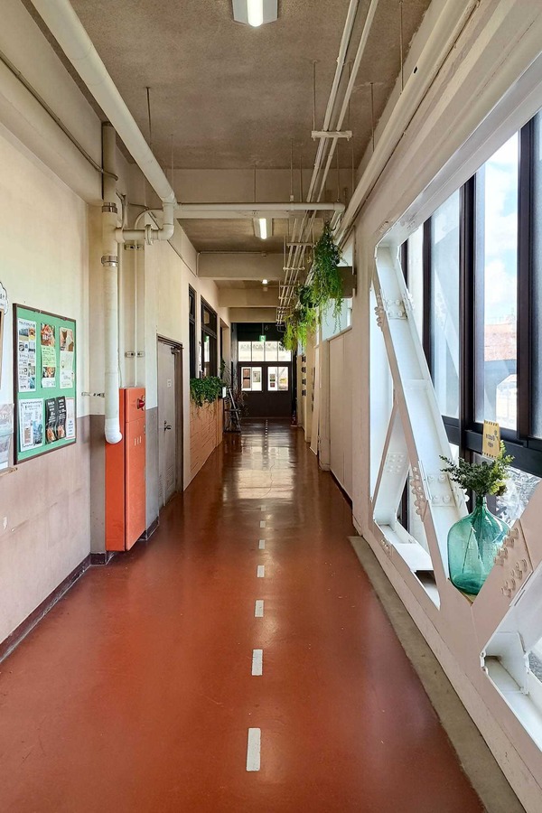 IMG_20251209_123831236_HDR