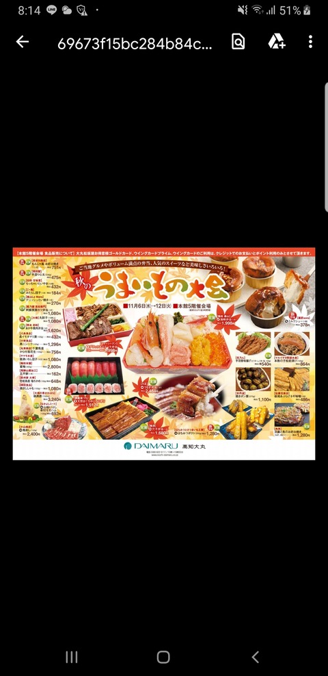 Screenshot_20191105-201440_Drive