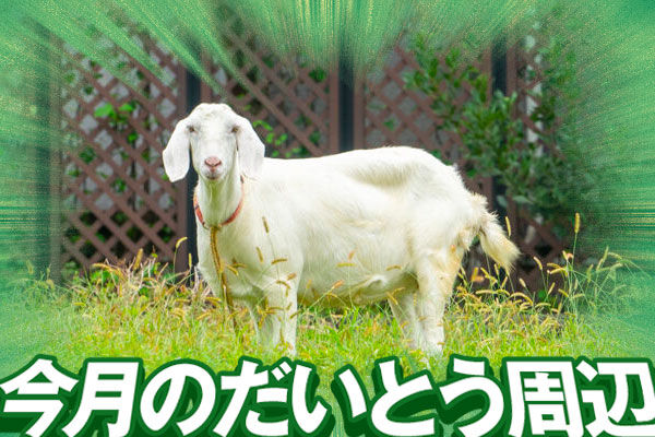 四條畷のあの鳥居が復活したり、鶴見緑地で夜のピクニックやるって知っ 