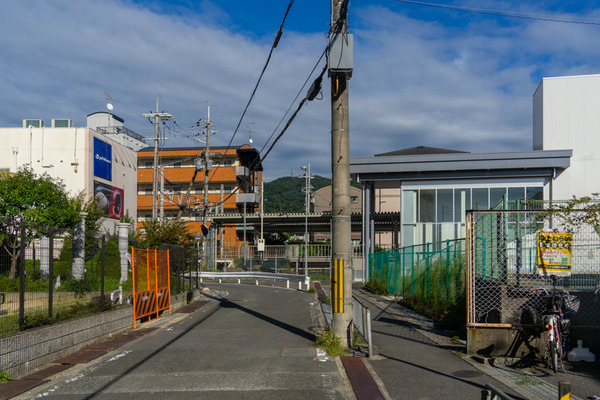 シラカシ地域広場-2109211