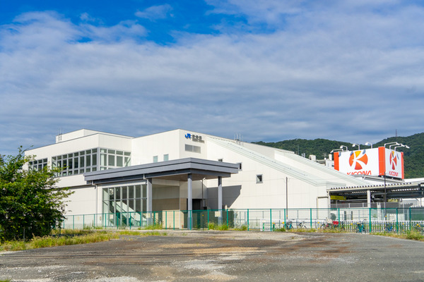 野崎-2109213