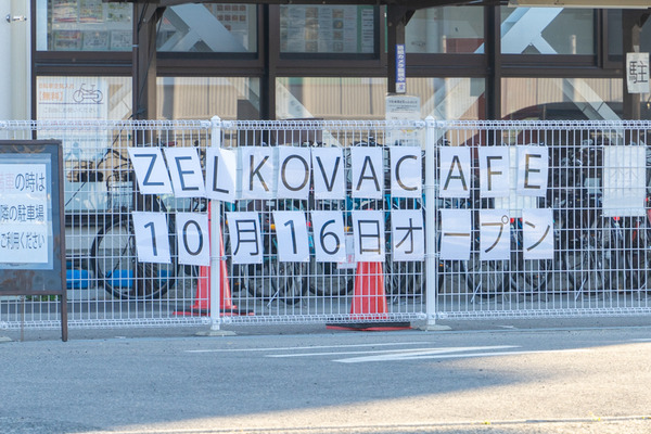 ZELKOVA-2110151