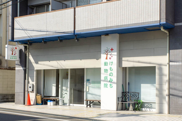 けものみち動物病院20230308021559