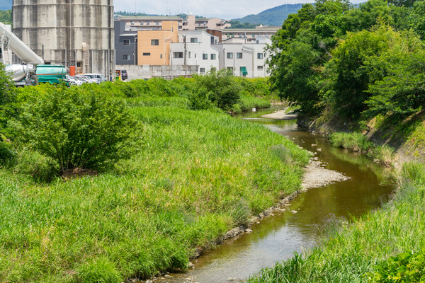 勝尾寺川-2106171