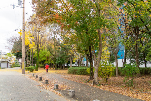 茨木川緑地リニューアル20221130150733