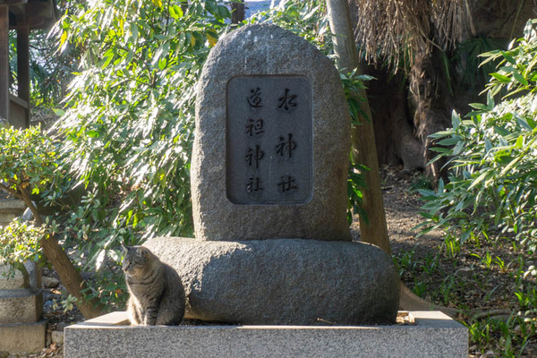 どうそ神社20220216145101