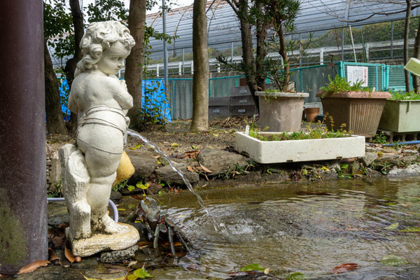 春日神社20220309131311