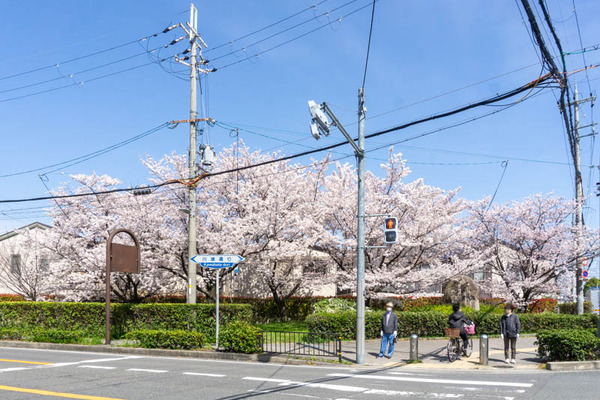田中橋20220405133507