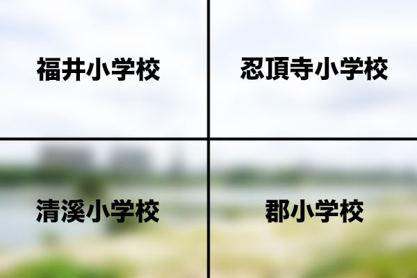 790073a7-s