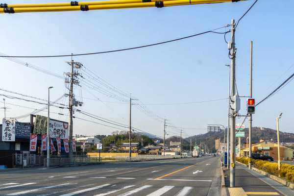 まいどおおきに食堂20230308042855