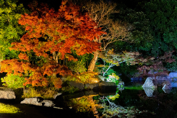 万博公園-21111317