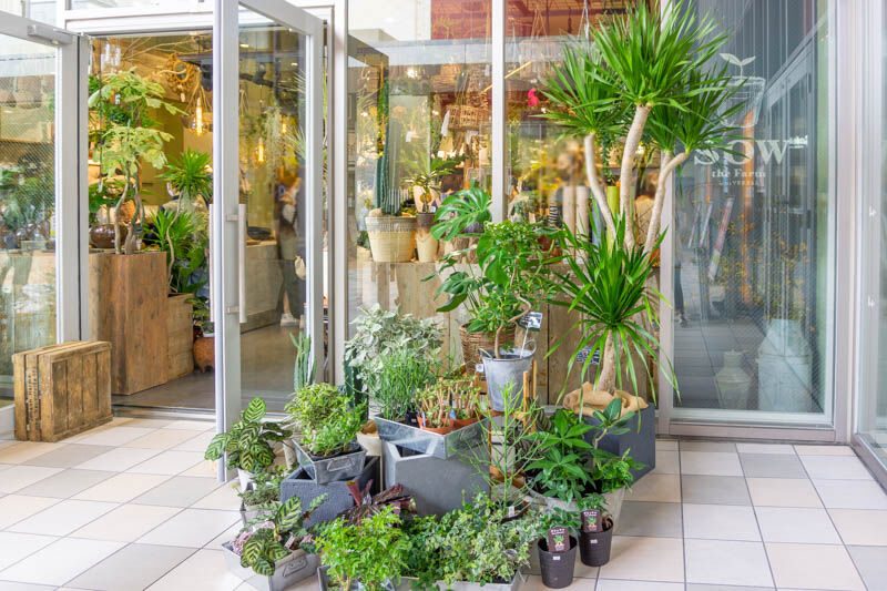 ららぽーとexpocityにつくってたグリーン専門店 Sow The Farm Universal がオープンしてる 茨木つーしん