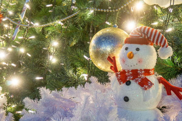 クリスマスイルミネーション❤️汽車ポッポ❤️ サッポロファクトリーでジャンボクリスマスツリー点灯式: Annex