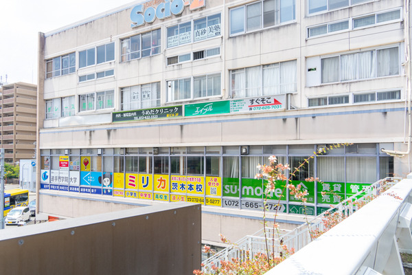 sumo-2108025