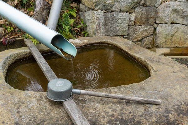 春日神社20220309131438