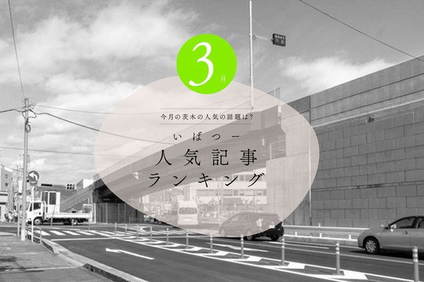 いばつーアクセス解析2023リナティ