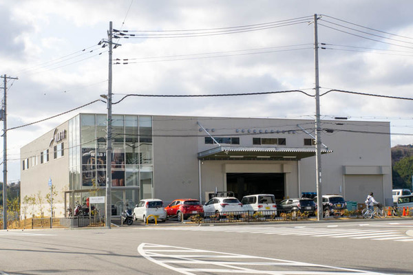 ワイルドフィット20230210021440