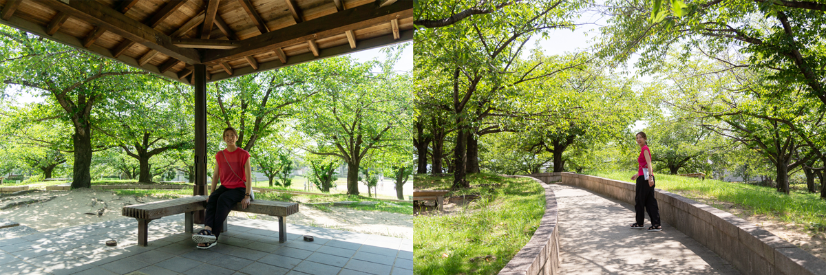 公園2