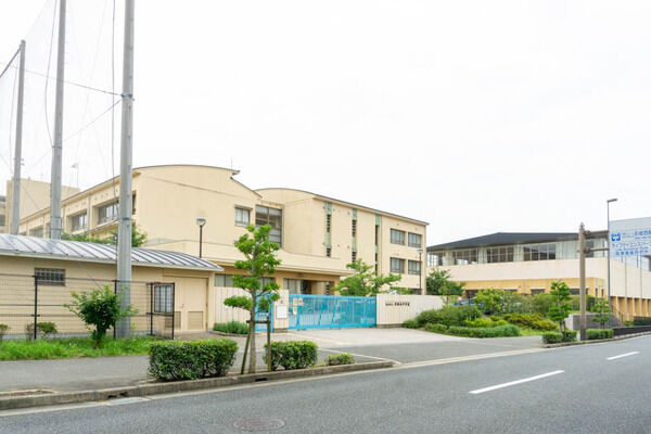 812f2fdd-s