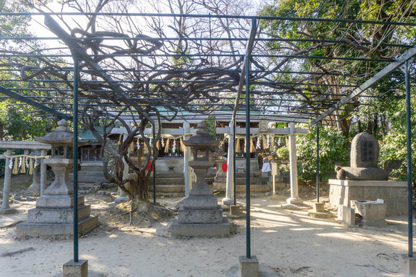 どうそ神社20220216145216
